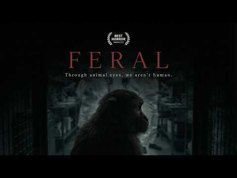 Original image for INTENSE Seedance 2.0 Trailer