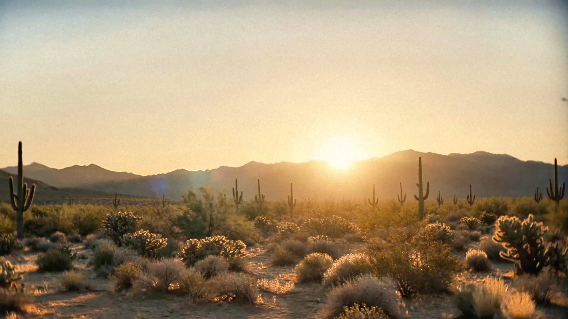SEEDANCE 2,0 - SOMETHING IN THE SOIL - ~720p EDITED COLOR+MOTION BLUR - CREATED/OWNED BY JAZON ZADA